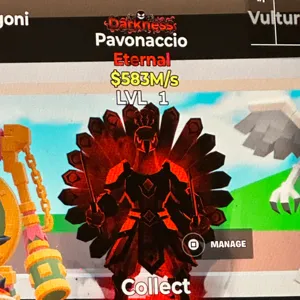 PAVONAACCIO DARKNESS
