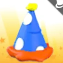 2022 Birthday Part Hat