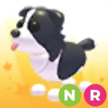 Neon Ride Border Collie