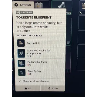 Torrent blueprint
