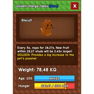 HUGE Golden Orange Tabby Grow a Garden (5s WITHOUT TOY)