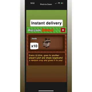 Raccoon x10 Grow a Garden