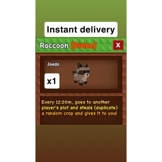 Raccoon Grow a Garden