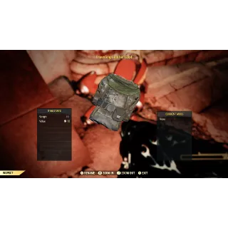 Traveling Leather Coat