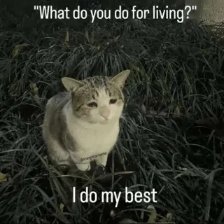 Misc Bundle For Friend