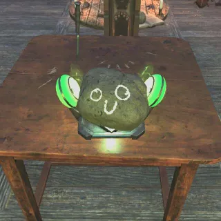 Pet Rock !