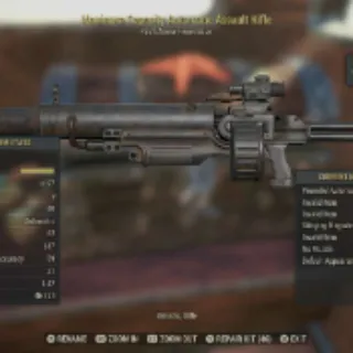 *Original* NW Assault Rifle