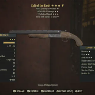 Salt of the Earth