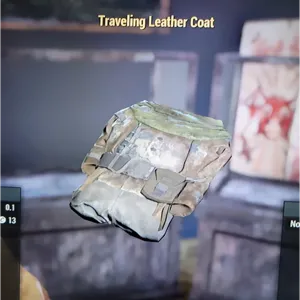 Traveling Leather Coat