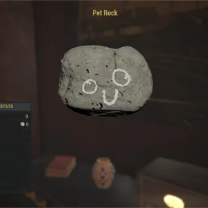 Pet Rock Misc Item