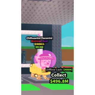 Chihuanini taconini - steal a brairot