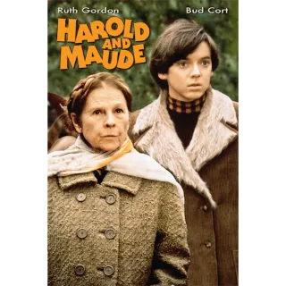 Harold & Maude (4K Vudu/iTunes)