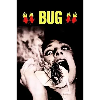 Bug (Vudu)