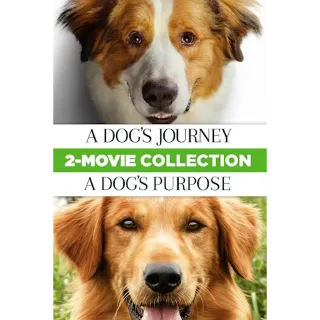 A DOG'S JOURNEY & A DOG'S PURPOSE (4K/HD MOVIES ANYWHERE)