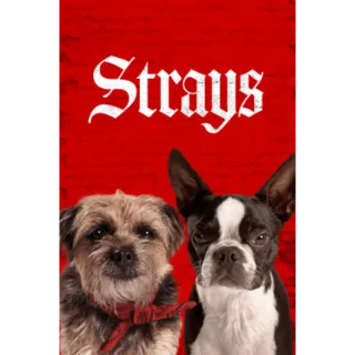 Strays (4K Movies Anywhere)
