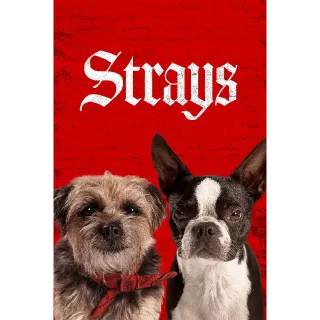 Strays (4K Movies Anywhere)