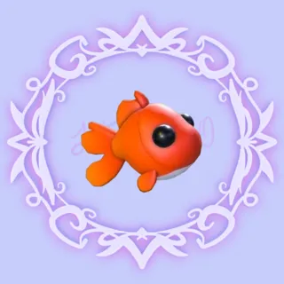Goldfish