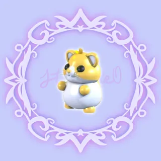 Golden Hamster