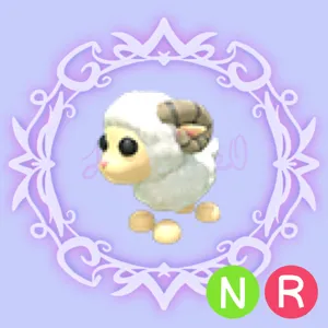 NR Ram
