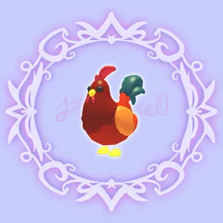 Rooster