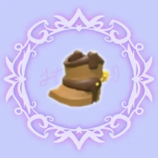 Cowboy Boots