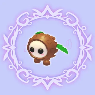 Coconut Friend 