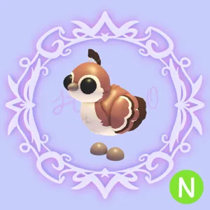 N Peachick