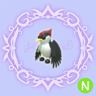 N Woodpecker