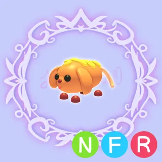 NFR Corn Doggo
