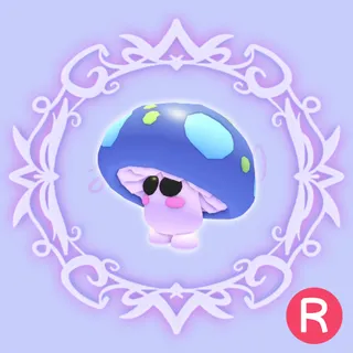 R Mushroom Friend