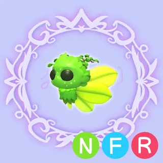 NFR Gaelic Fae