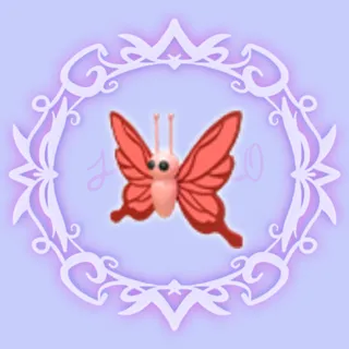 Scarlet Butterfly
