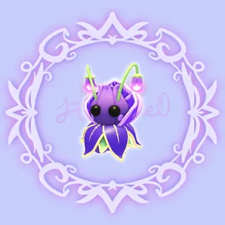 Violet Friend