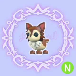 N Chihuahua