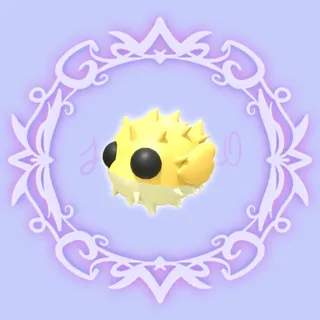 Puffer Fish