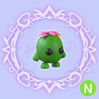 N Cactus Friend
