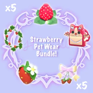 Strawberry Pet Wear Bundle x5 - Adopt Me