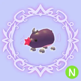 N Mole