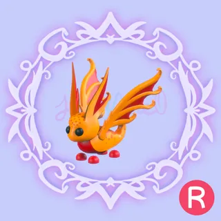 R Sunglider