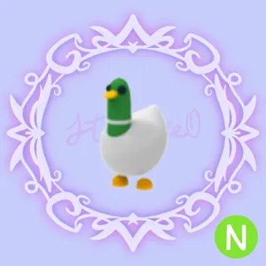 N Silly Duck