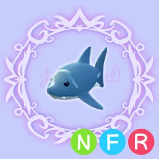 NFR Shark 