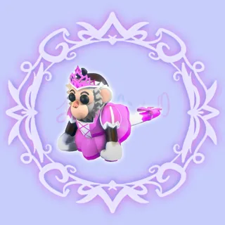 Princess Capuchin Monkey