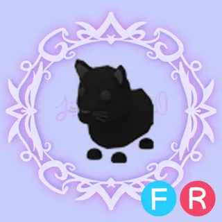 FR Black Panther - FULL GROWN