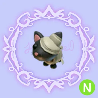 N Halloween Black Mummy Cat