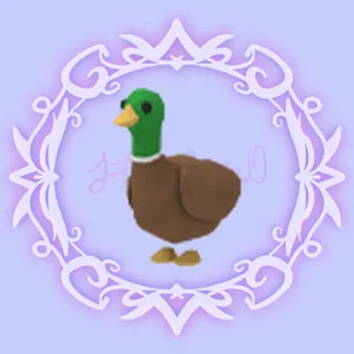 Drake