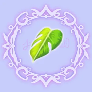 Monstera Leaf Cape