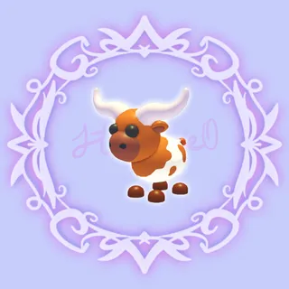Longhorn Cow