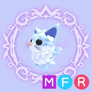 MFR Maine Coon