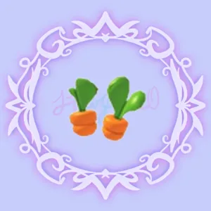 Carrot Sprout