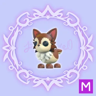 M Chihuahua